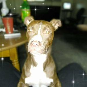 Meet your Posher, Zoe